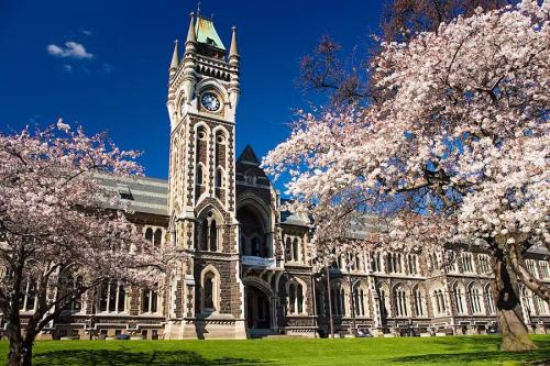 新布伦瑞克大学代写-新布伦瑞克申请要求